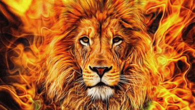 Wallpaper:31jplsem5e4= Leo