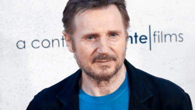 Liam Neeson Net Worth 2024