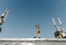 telecom risk management oversight