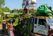 business evaluation and analysis