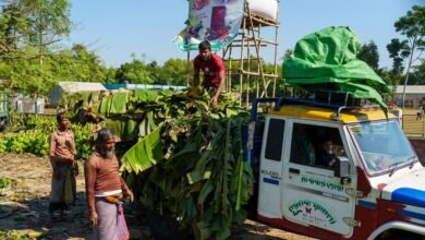 business evaluation and analysis