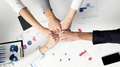 enterprise sector dynamics overview